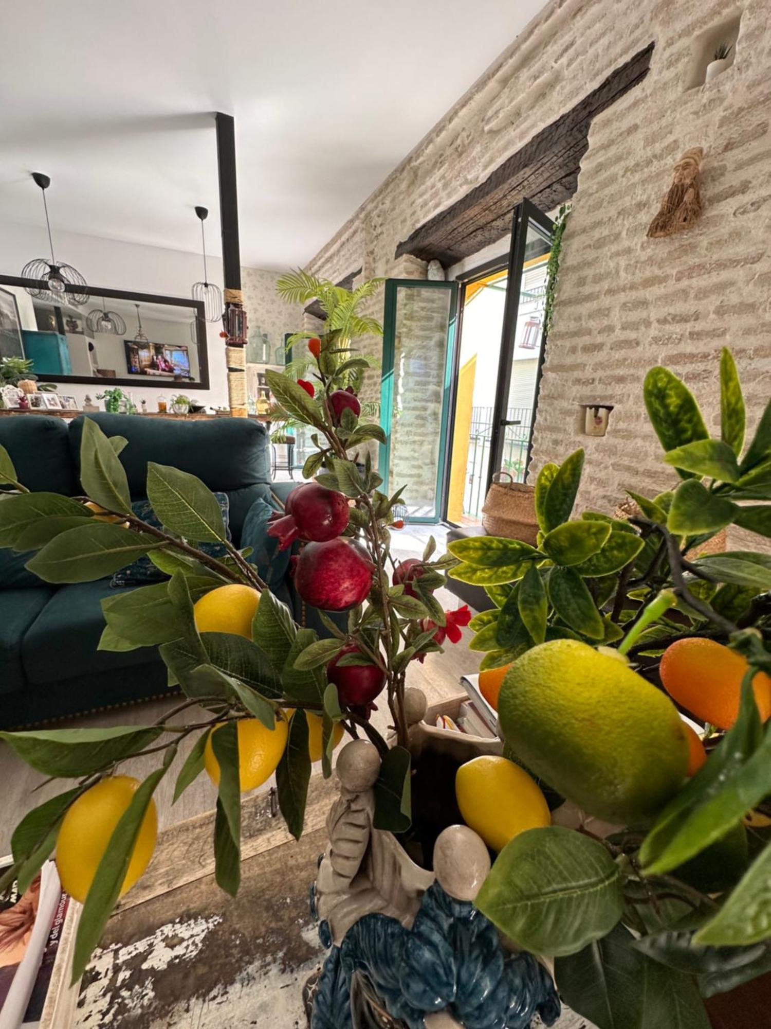 Casa Duque Compartida Familiar 1-Habitacion Con Bano Propio Σεβίλλη Εξωτερικό φωτογραφία