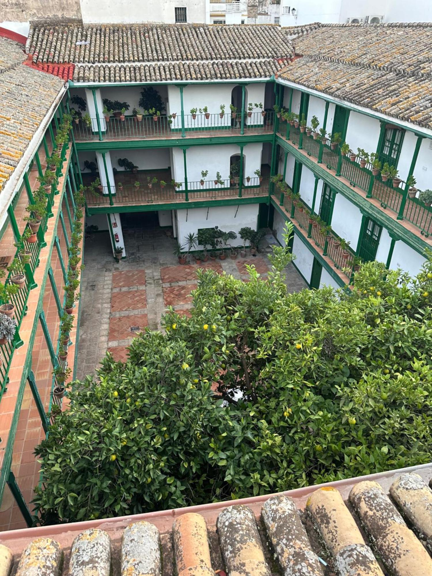 Casa Duque Compartida Familiar 1-Habitacion Con Bano Propio Σεβίλλη Εξωτερικό φωτογραφία